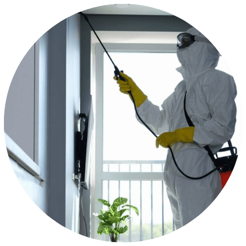 Professional Cleaning Services in Bangalore