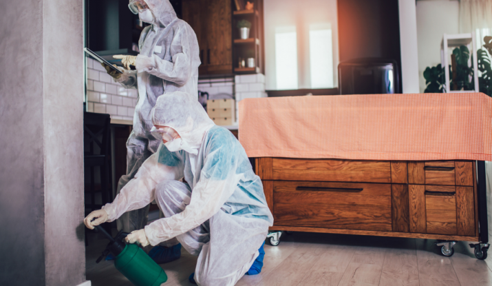 Why Regular Pest Control is Essential for Your Family’s Health