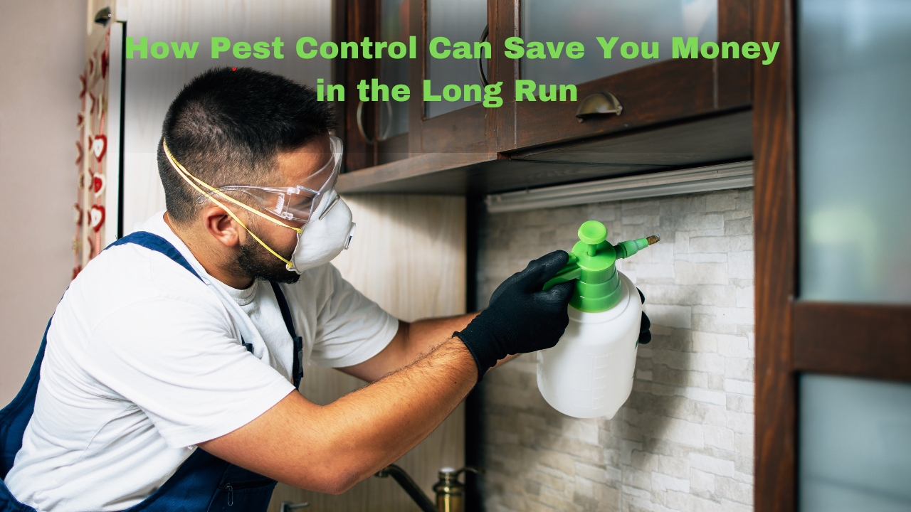 How Pest Control Can Save You Money in the Long Run