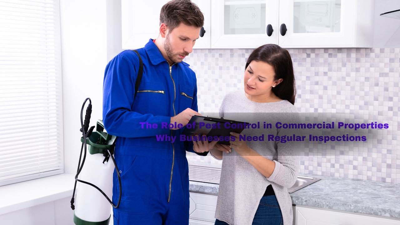 The Role of Pest Control in Commercial Properties: Why Businesses Need Regular Inspections