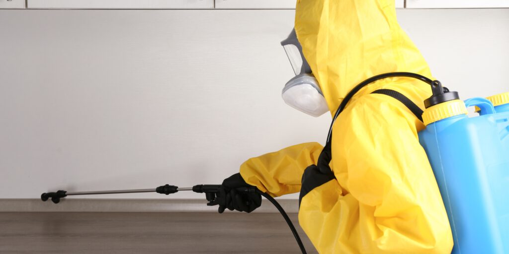 Pest Control Services-in Kanakapura Road