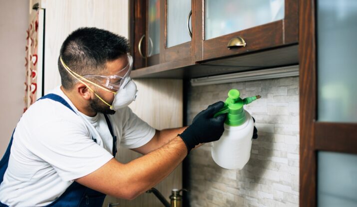 Post Contructions Temrite Control