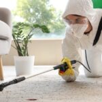 Cockroach Control in Mumbai