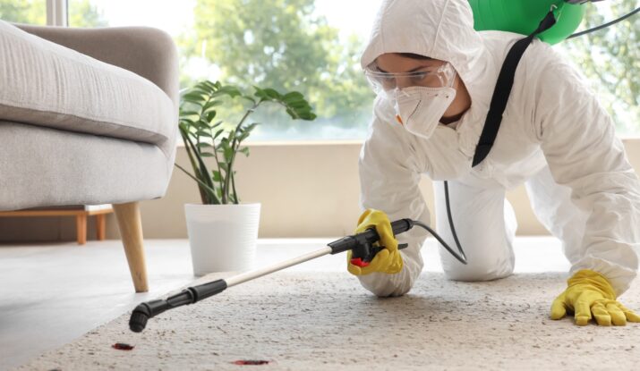 Cockroach Control in Mumbai