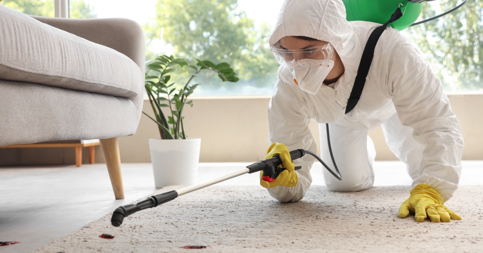 Cockroach Control in Mumbai